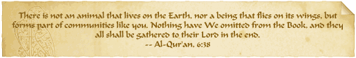 Quran 6-38 Quote